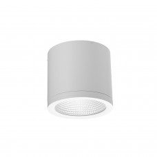 Точковий світильник Azzardo AZ6030 CONYON IP54 25W CCT SWITCH WH, 25 Вт, 1400 лм, 3000К/4000К/6000К