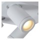 Спот Lucide 09930/20/31 Taylor