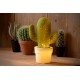 Настільна лампа Lucide 13513/01/33 Cactus