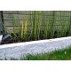 Спот - Lucide 14868/05/30 Arne