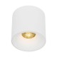 Точковий світильник TK Lighting 18161, 30 Вт, 1493 лм, 3000К-6000К