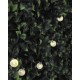 Гірлянда на сонячній батареї Goldlux 315236 Balls LED 30 2700K IP44