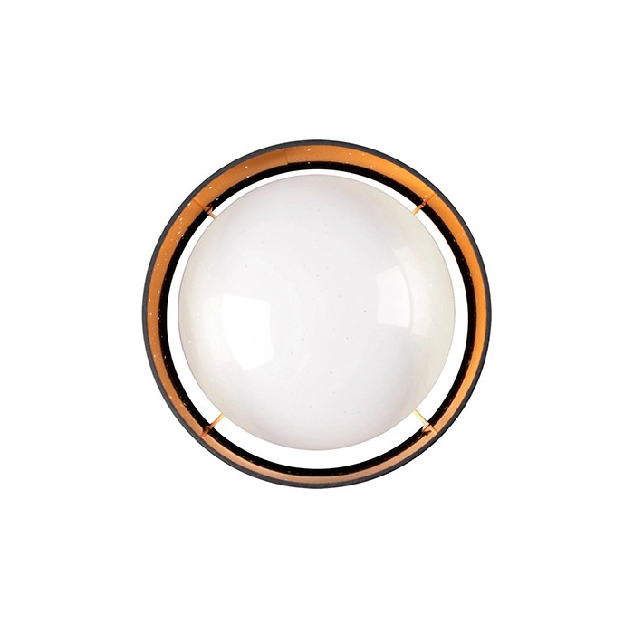 Потолочный светильник GOLDLUX 323088 TULUZA
