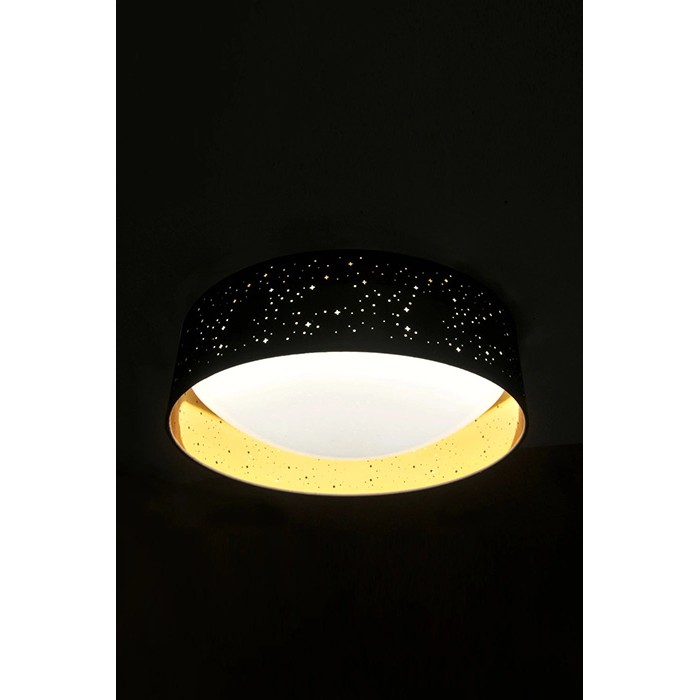 Потолочный светильник GOLDLUX 323149 TULUZA