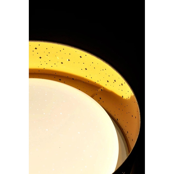 Потолочный светильник GOLDLUX 323217 TULUZA