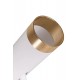 Світильник поворотний GOLDLUX 326539 FADO