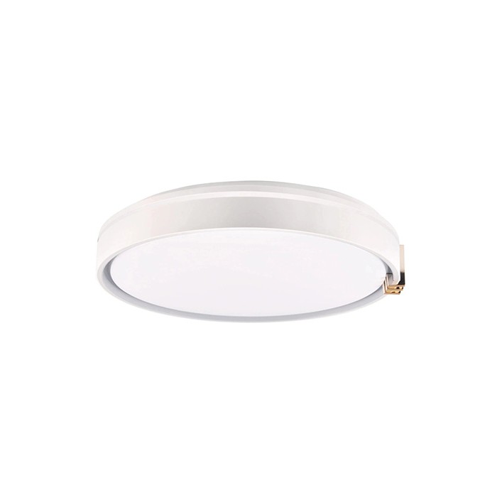 Люстра с пультом светодиодная, потолочный светильник Goldlux 328847 Arletta LED 1x48W 3000K/4000K/6000K 5200Lm IP44 серая
