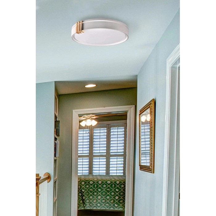 Люстра с пультом светодиодная, потолочный светильник Goldlux 328847 Arletta LED 1x48W 3000K/4000K/6000K 5200Lm IP44 серая