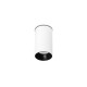 Точечный светильник Faro 43746 STAN White ceiling lamp