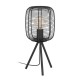 Настільна лампа Eglo 43967 RINROE table light