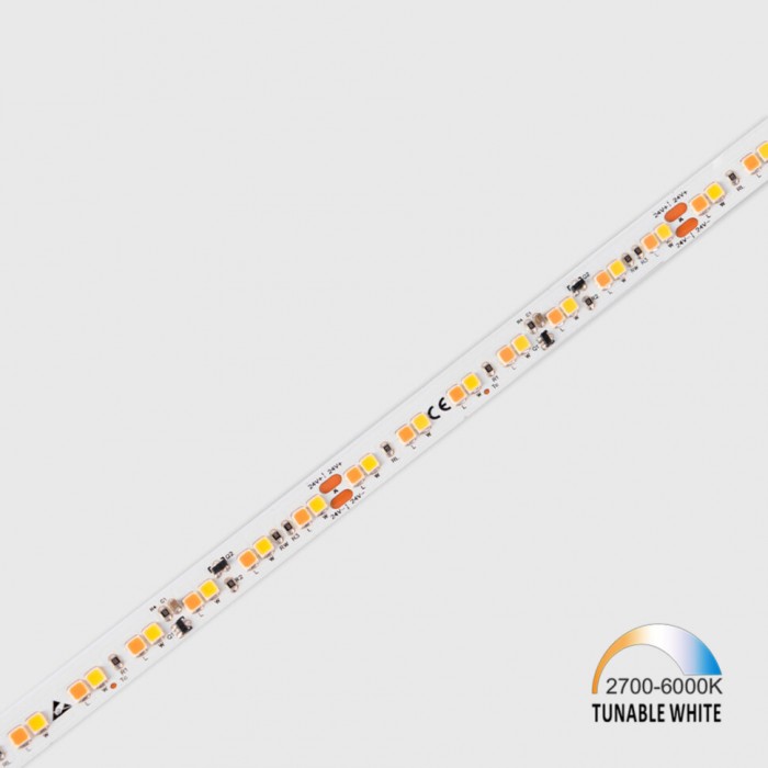 Світлодіодна гнучка стрічка tunable white. L5000mm, w10mm, h1.6mm, 2700K-6000K, 19.2W/m, 24V, ціна за м.п. (11.24.140.17.20.050.927-960)
