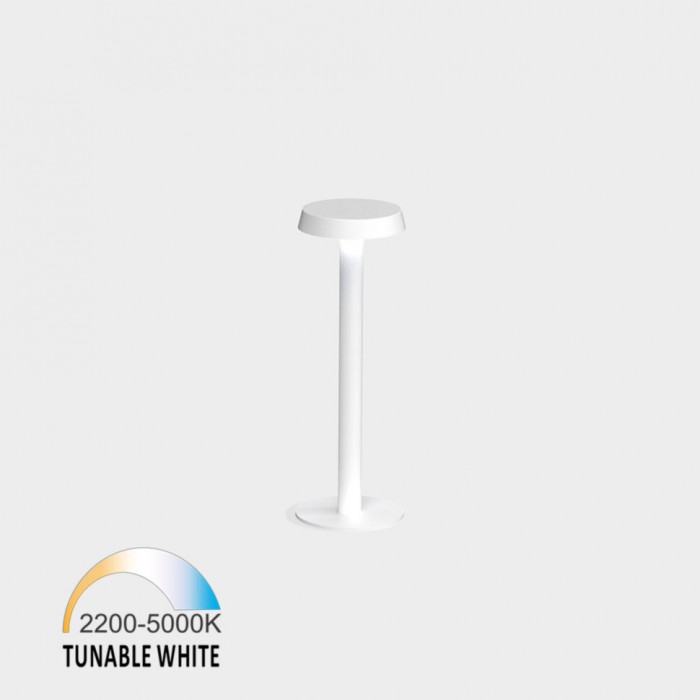 Настольная лампа LTX 10.3512.02.TW.WH Moon, 2 Вт, 2200K-5000K