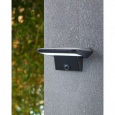 Настенный светильник Eglo 48944 PORRASSA solar light, 0.5 Вт, 800 лм, 6500К