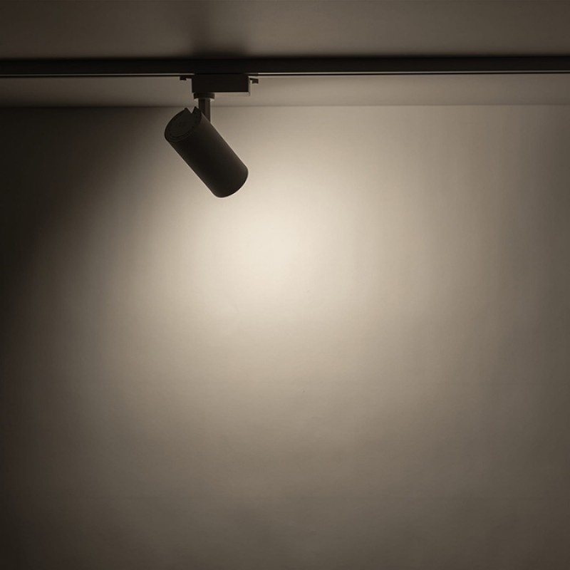 Трековый светильник TK Lighting 10972