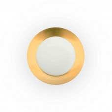 Потолочный светильник Faro 62146 SIDE 450 Black and gold ceiling lamp 20W, 20 Вт, 1700 лм, 3000K