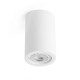 Точечный светильник Faro 63268 SVEN R White round ceiling lamp