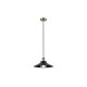 Подвесной светильник Faro 64133 MARLIN Black pendant lamp