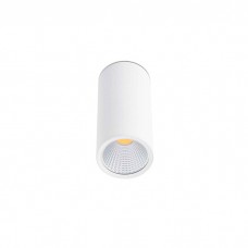 Точечный светильник Faro 64198 REL 75 White ceiling lamp, 15 Вт, 1340 лм, 2700K