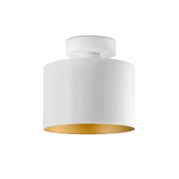 Стельовий світильник Faro 65137 JANET Gold and white ceiling lamp