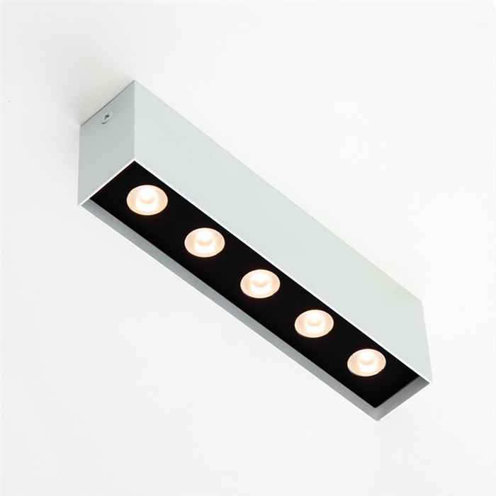 Потолочный светильник Imperium Light 662520.01.05.92 Express