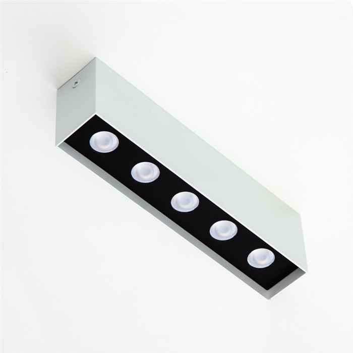 Потолочный светильник Imperium Light 662520.01.05.92 Express