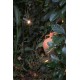Спот - Faro 70226 SETH 600 Black spike lamp, 6 Вт, 450 лм, 2700K