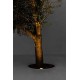 Грунтовый светильник Faro 70588 SURIA 120 Inox recessed lamp 24°, 3 Вт, 175 лм, 3000K