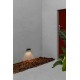 Настенный светильник Faro 70658 MUST 158 Dark grey wall lamp, 3 Вт, 220 лм, 3000K