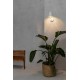Бра - Faro 70780 TOC White wall lamp, 8 Вт, 600 лм, 3000K