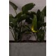 Парковый светильник Faro 70787 SPY 145 Dark grey spike lamp, 6 Вт, 495 лм, 3000K