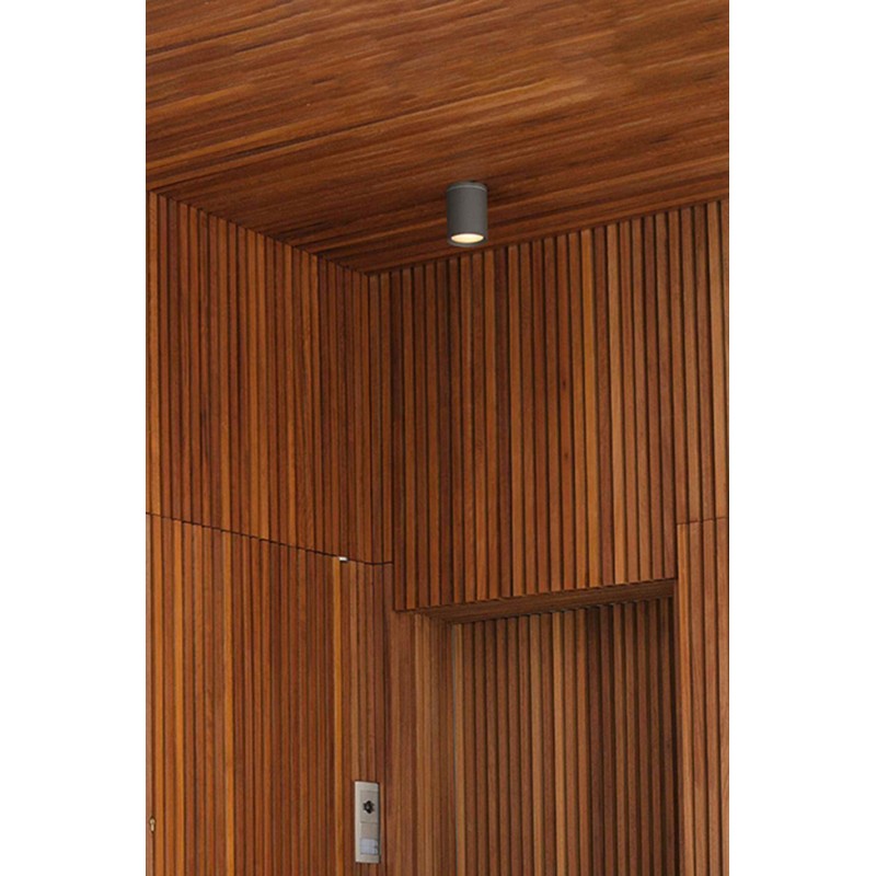 Точечный светильник Faro 70806 TASA Dark grey ceiling lamp
