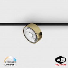 Світильник прожекторний LTX IN_LINE SOL TW, D95mm, H33mm, LED 13W, TW DIM: 2700K(881Lm)-6500K(1025Lm), 48V DС, IP20, латунь/чорний (06.9533.13.TW.BR/BK)