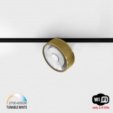 Світильник прожекторний LTX IN_LINE SOL TW, D95mm, H33mm, LED 13W, TW DIM: 2700K(881Lm)-6500K(1025Lm), 48V DС, IP20, латунь/чорний (06.9533.13.TW.BRG/BK)