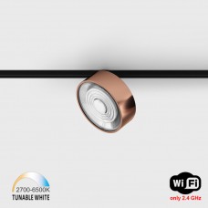 Світильник прожекторний LTX IN_LINE SOL TW, D95mm, H33mm, LED 13W, TW DIM: 2700K(881Lm)-6500K(1025Lm), 48V DС, IP20, мідь/чорний (06.9533.13.TW.CP/BK)