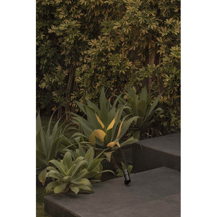 Спот Faro 75300-221 Puk