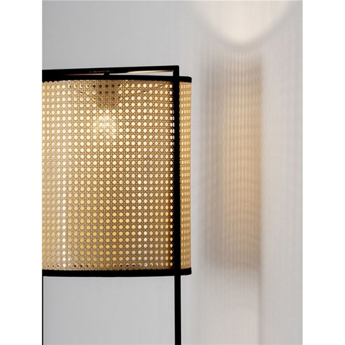 Торшер Nova Luce 9001119 Erto