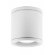 Точечный светильник Nova Luce 9040061 Cerise