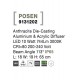 Nova Luce 9131202 Posen, 10 Вт, 744 лм, 3000K