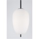 Підвісний світильник Nova Luce 9624073 Lato
