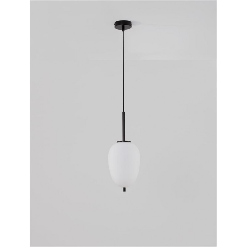 Підвісний світильник Nova Luce 9624076 Lato