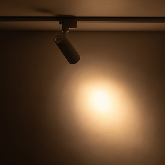 Трековый светильник TK Lighting 18179, 10 Вт, 750 лм, 2700К/4000К/6000К