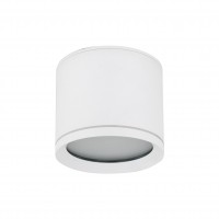 Точковий світильник TK Lighting 10595