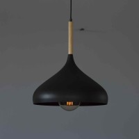 Подвесной светильник Skarlat 26735 LS 3108 330-1L BK
