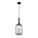 Подвесной светильник Italux PND-5588-1L-SC+CL Antiola