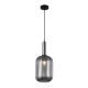Підвісний світильник Italux PND-5588-1L-SC+SG Antiola