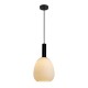 Светильник подвесной, люстра Italux PND-23541-1-BK-OP Gater E27 1x40W IP20 черный