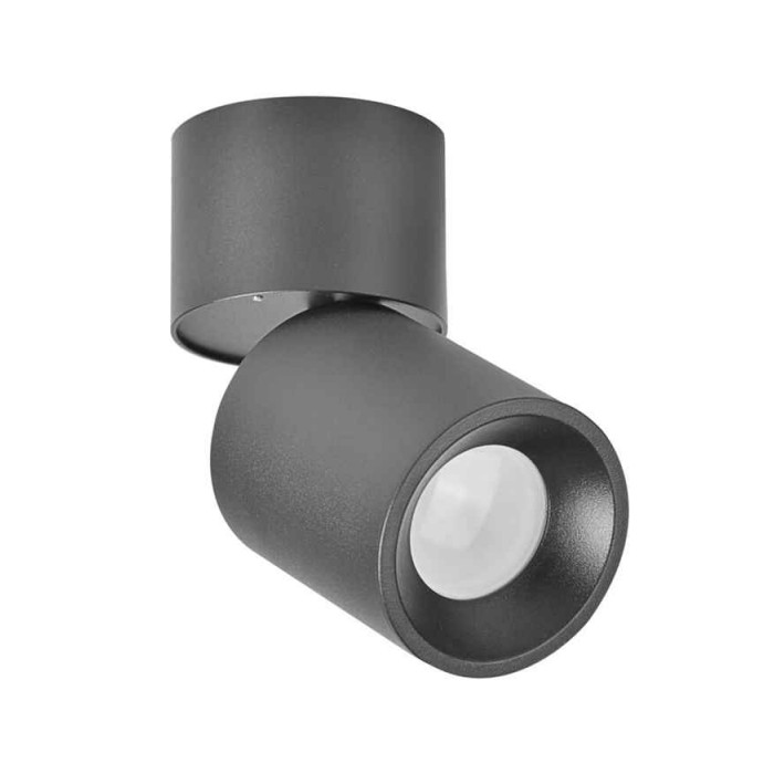 Светильник поворотный, спот Goldlux 314079 Astra GU10 1x10W IP20 черный