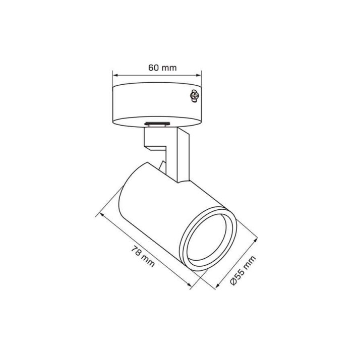 Светильник поворотный, спот Goldlux 328687 Lynx GU10 1x10W IP20 черный
