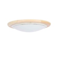 Candellux Стельовий світильник 14-32136 1030