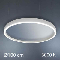 Подвесной светильник Imperium Light 3611100.01.91 Synevir